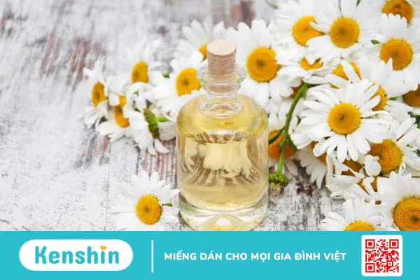 10 loại tinh dầu giảm đau lưng bạn có thể muốn dùng