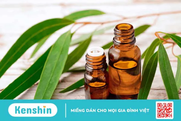 10 loại tinh dầu tốt cho sức khỏe: Loại thứ 7 và 10 rất dễ tìm