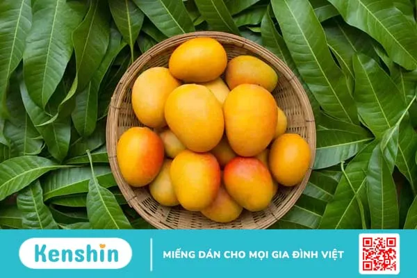 10 lợi ích của quả xoài và 2 tác dụng phụ khi ăn nhiều xoài