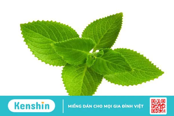 10 mẹo trị ho đờm cho trẻ bằng phương pháp dân gian an toàn, hiệu quả