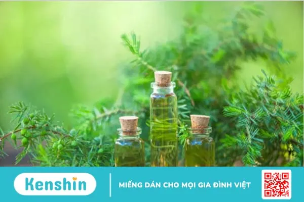 10 nguyên liệu tự nhiên giúp bạn điều trị các vấn đề da liễu thường gặp