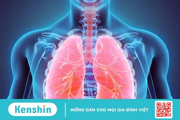 10 nguyên nhân suy tim có thể bạn chưa biết