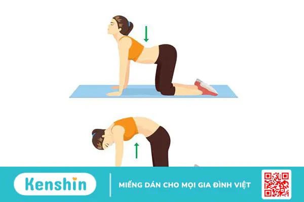 11 bài tập yoga cho người đau vai gáy, hãy thử ngay tại nhà!