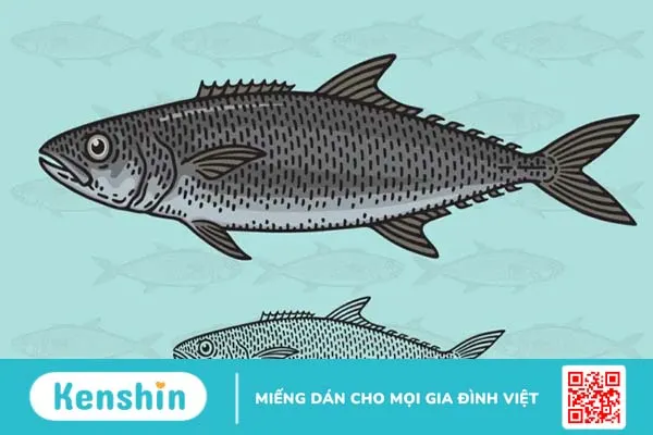 11 loại cá ngon mà bạn không nên ăn nhiều