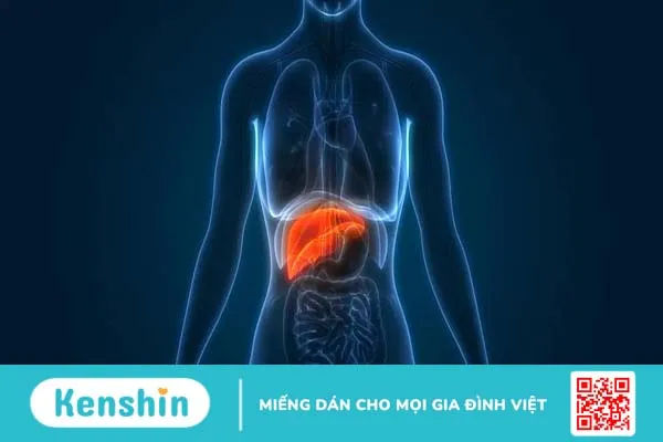 12 lợi ích sức khỏe của tinh bột nghệ mật ong ít người biết