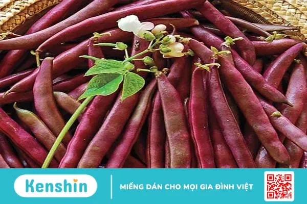 12 thực phẩm giàu axit folic và 10 lợi ích thần kỳ