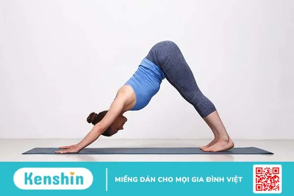 12 tư thế yoga cơ bản nền tảng và các lớp học yoga uy tín