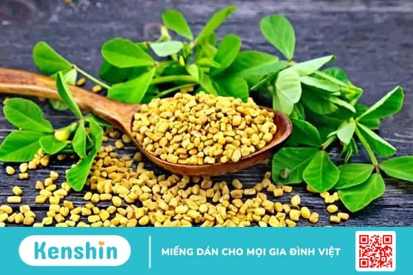 13 loại thảo mộc giúp giảm cân nhanh chóng và an toàn