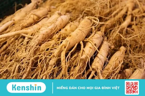 13 loại thảo mộc giúp giảm cân nhanh chóng và an toàn