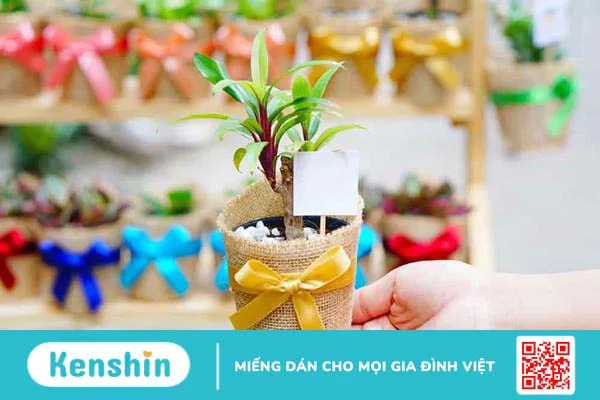 20+ món quà Noel cho bé trai và bé gái mọi lứa tuổi, độc đáo nhất 2023