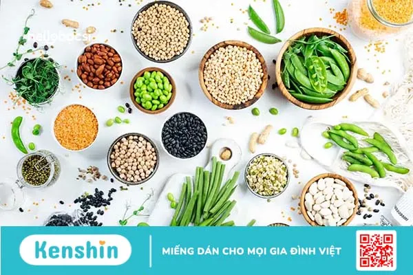 20 thực phẩm giàu đạm ít calo, ăn ngon và tốt cho sức khỏe