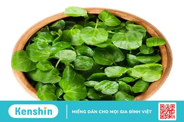 25 thực phẩm ít calo, giàu dinh dưỡng và tốt cho giảm cân