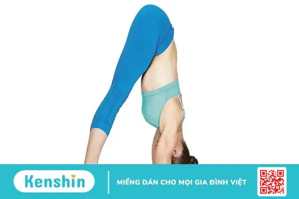 25 tư thế yoga điều trị hen suyễn tốt nhất