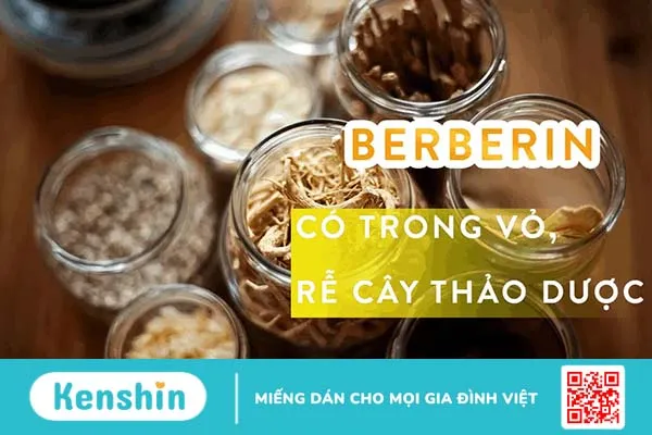 4 chất giúp tăng cường sức khỏe tự nhiên không cần thuốc