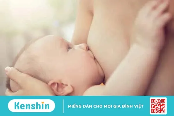 4 giai đoạn vú sản xuất sữa để con bú khi chào đời