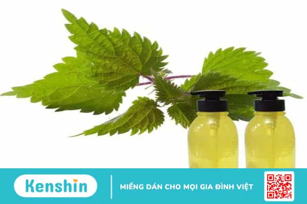 5 chất kháng sinh tự nhiên bạn có thể chuẩn bị sẵn ở nhà