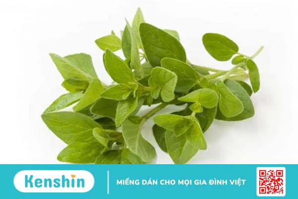 5 chất kháng sinh tự nhiên bạn có thể chuẩn bị sẵn ở nhà