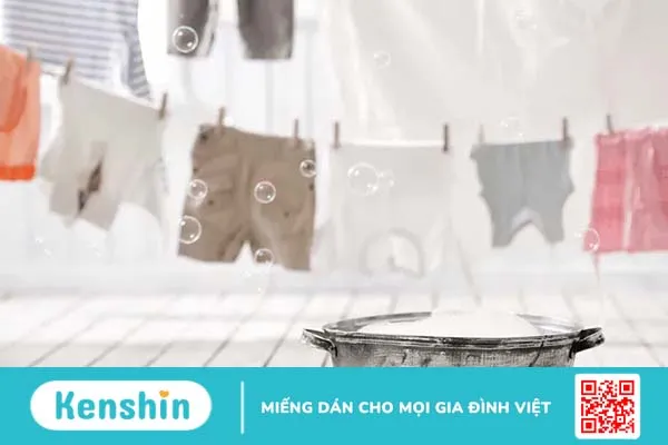 5 công dụng của quả bồ hòn giúp ích cho cuộc sống của bạn