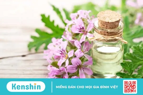 5 loại tinh dầu để phòng ngủ giúp bạn thư giãn, ngủ ngon hơn