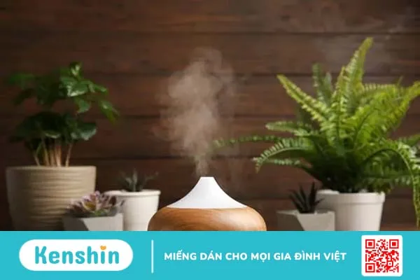 5 loại tinh dầu để phòng ngủ giúp bạn thư giãn, ngủ ngon hơn