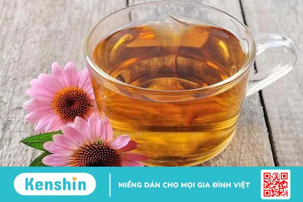 5 loại trà làm giảm khả năng sinh sản của phụ nữ