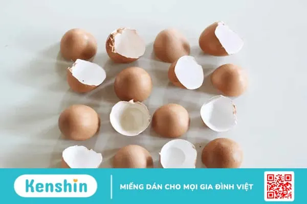 6 tác dụng của vỏ trứng khiến bạn không nỡ vứt đi