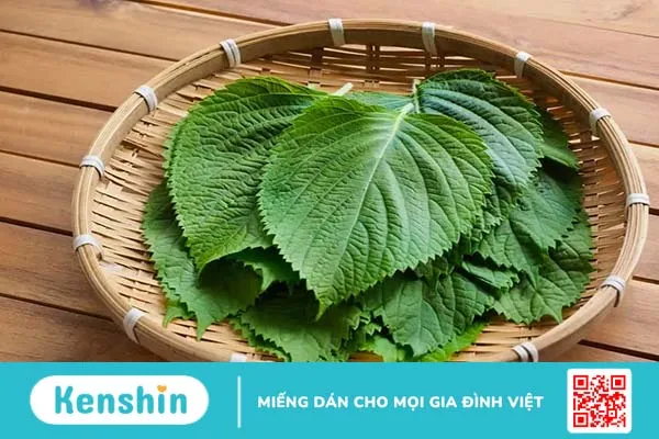 7 cách đắp mặt nạ tía tô sáng da, trị mụn