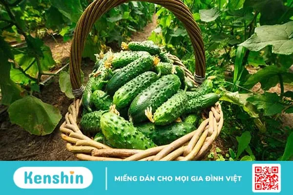 7 cách trị mụn và 3 cách trị gàu bằng mặt nạ mướp đắng