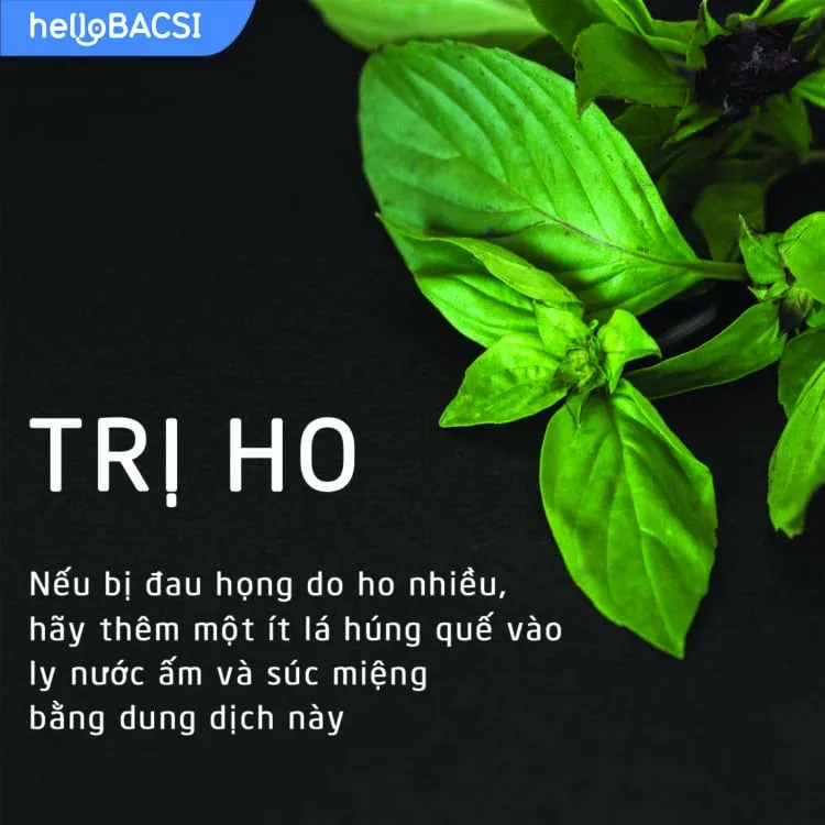 7 tác dụng thần kỳ của rau húng quế