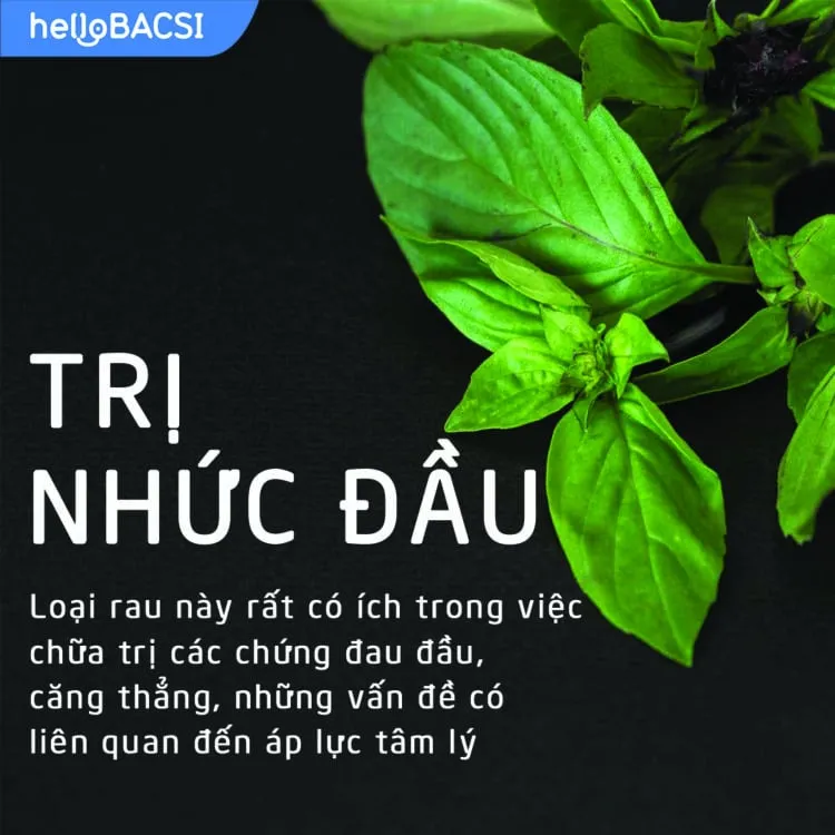 7 tác dụng thần kỳ của rau húng quế