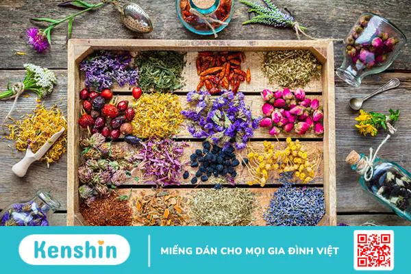 8 cách hỗ trợ chữa vô sinh nữ tại nhà giúp cải thiện khả năng mang thai