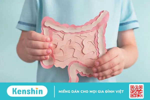 8 cách nấu cháo bắp cho bé ăn dặm giúp bé tăng cân tốt, ngừa táo bón