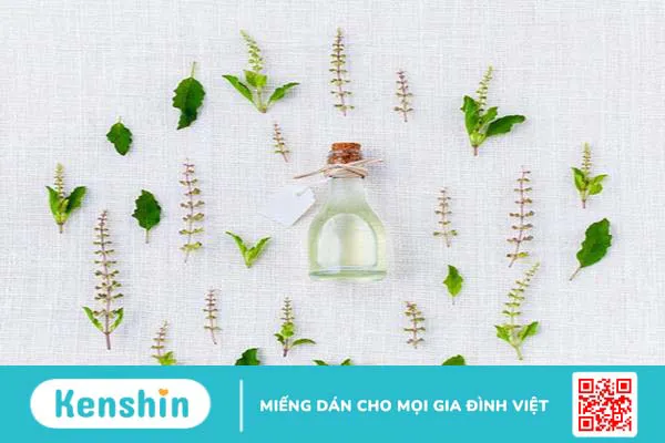 8 công dụng của cỏ xạ hương không phải ai cũng biết