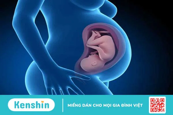 8 dấu hiệu chuyển dạ tuần thứ 38 phổ biến mà mẹ bầu cần biết!