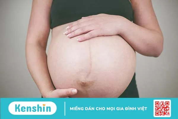 8 lợi ích của rau bồ ngót theo Đông y và y học hiện đại không nên bỏ qua