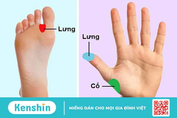 9 cách massage lưng và cổ giúp bạn giảm đau