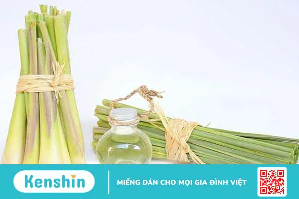 9 lợi ích tinh dầu sả chanh và cách làm tinh dầu sả tại nhà