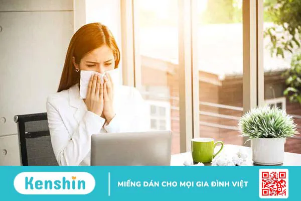 9 tác dụng của tinh dầu khuynh diệp và lưu ý khi dùng