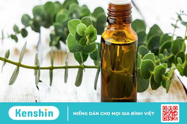 9 tác dụng của tinh dầu khuynh diệp và lưu ý khi dùng