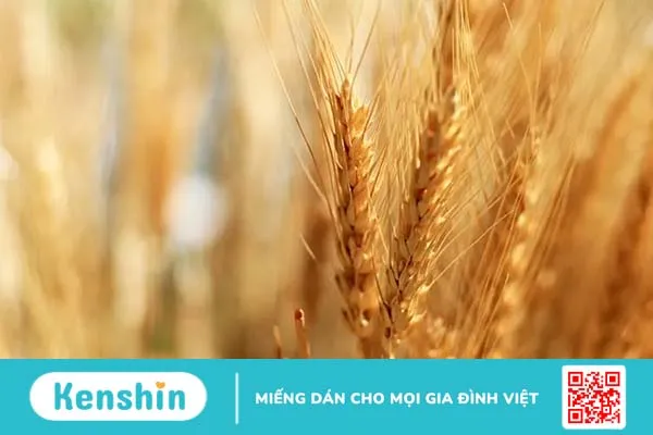 Ăn gì thay cơm để giảm cân hiệu quả và khoa học?