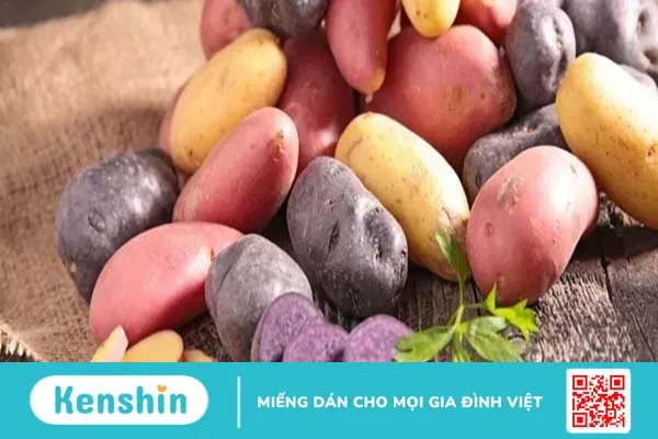 Ăn khoai tây mỗi ngày có tốt không? Những ai không nên ăn khoai tây?