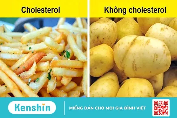 Ăn khoai tây mỗi ngày có tốt không? Những ai không nên ăn khoai tây?