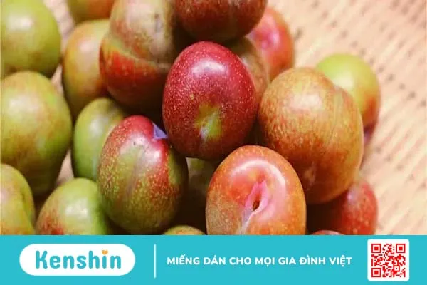 Ăn mận Hà Nội có béo không? Mận Hà Nội bao nhiêu calo?