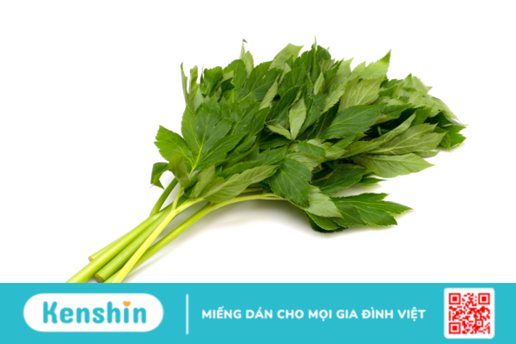 Ashitaba được sử dụng với mục đích gì?