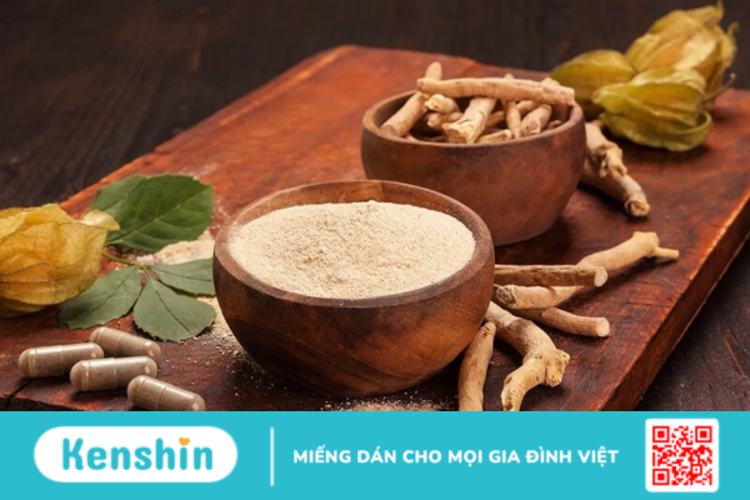 Ashwagandha là gì? Công dụng và lợi ích của Ashwagandha đối với sức khỏe