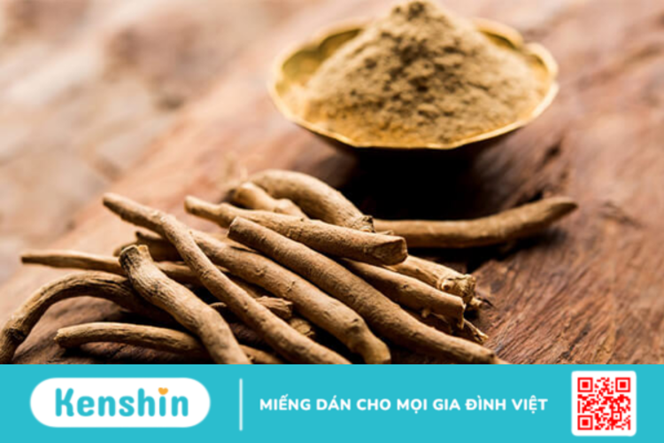 Ashwagandha là gì? Công dụng và lợi ích của Ashwagandha đối với sức khỏe