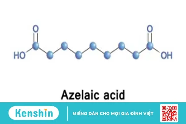 Azelaic Acid là gì? Thần dược trị mụn, mờ thâm ít ai biết