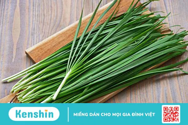 Bài thuốc nam trị ho từ dân gian an toàn và hiệu quả