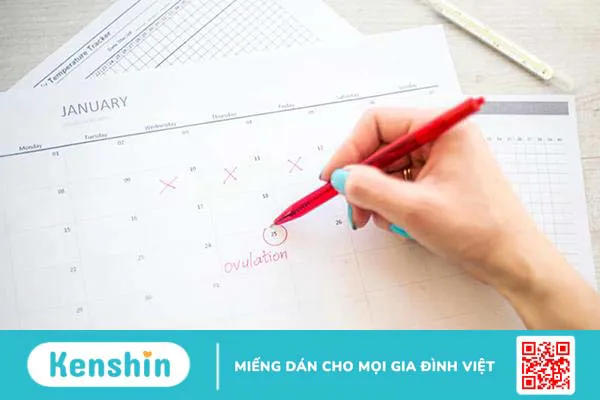 Bạn có biết sảy thai bao lâu thì rụng trứng chưa? Hãy tìm hiểu ngay!