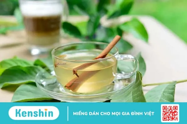 Bật mí 5 cách làm trà lá ổi giảm cân và những lưu ý cần nhớ